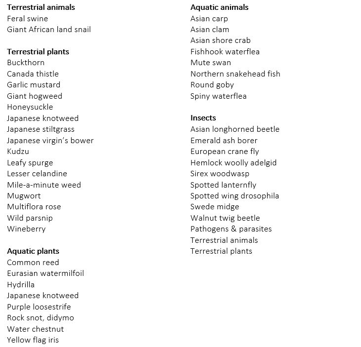 Invasive Species | Nature Up North